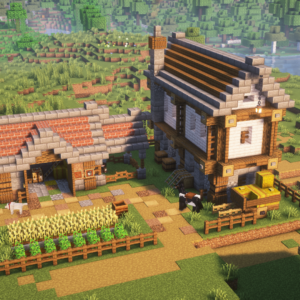 Casa do Fazendeiro Medieval